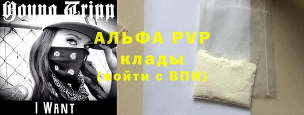 сатива Алзамай