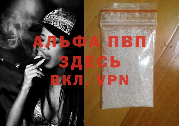 сатива Алзамай